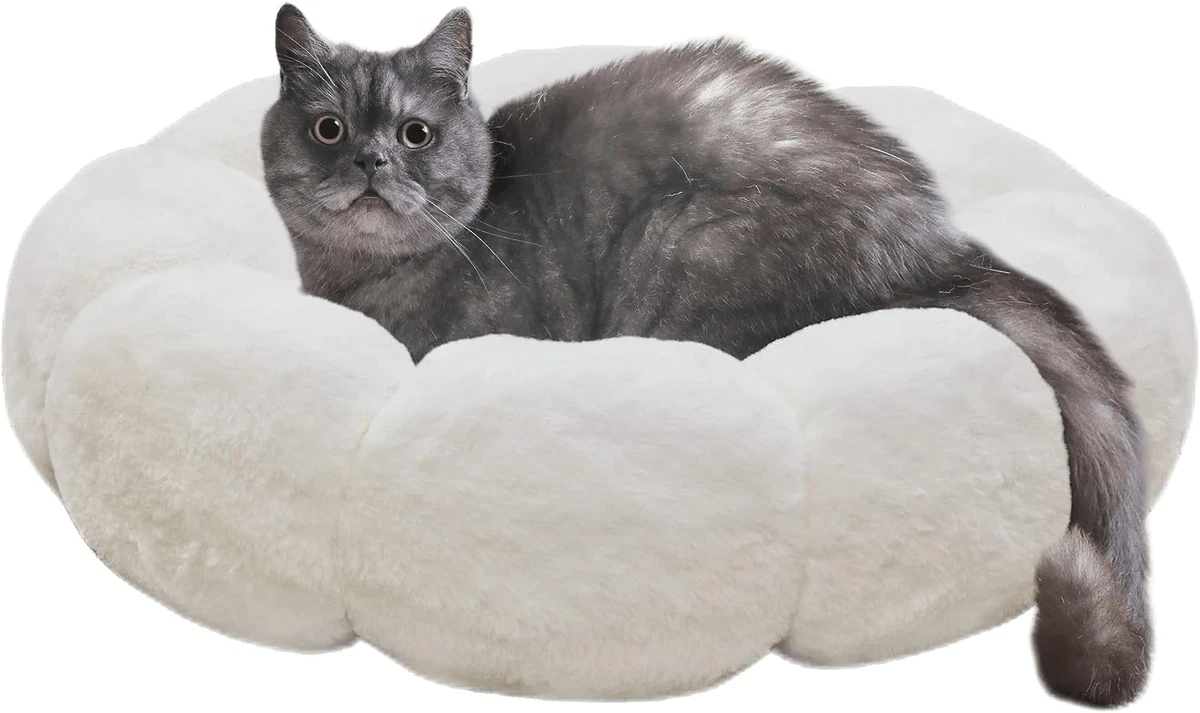 Large Cat Beds for Indoor Cats up to 35 Lbs. Calming Dog Beds for Small Dogs M