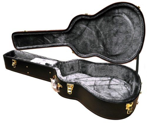 epiphone case dreadnought