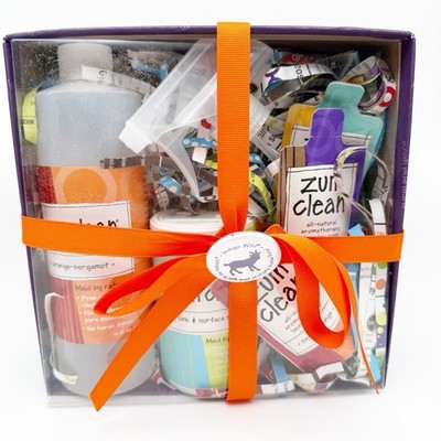 Indigo Wild Zum All-Purpose Clean Kit Set Laundry Soap Surface