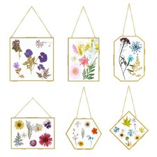 6 Pack Pressed Flower Frame, 4-6 inch Gold Brass Glass Hanging Floating Flowe...
