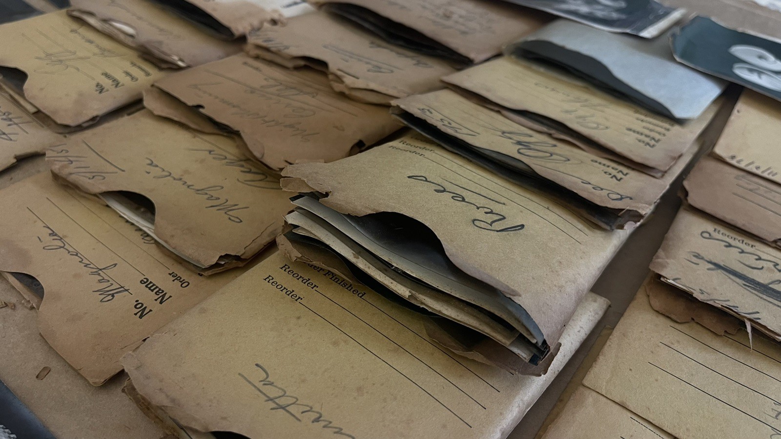 VTG Lot 4x5” Large Format 150+ B&W Photo Negatives Lot FLOWERS 1950s Damaged COA