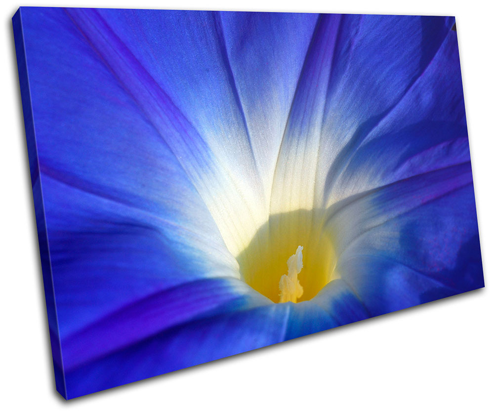 Flowers BOTANICAL Floral SINGLE CANVAS WALL ART Picture Print VA