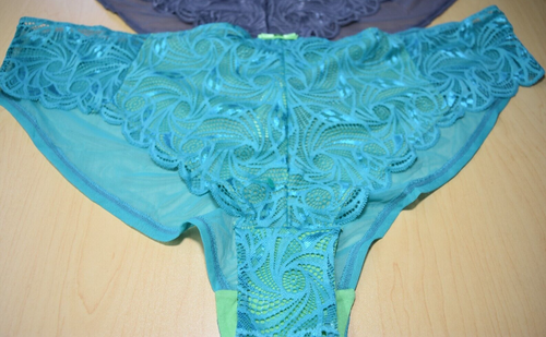 4 New Adore Me Lace Mesh Light Gray Dk Gray Cermaic Panties Lot 4X 4XL Plus Size - Picture 4 of 9