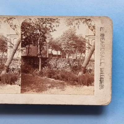 Stereoview Karte 3D Echtfoto um 1900 Sheerness Kent Baum gesäumt Avenue Häuser