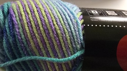 RED HEART SUPER SAVER YARN 5OZ COLOR WILDFLOWER Lot #1643