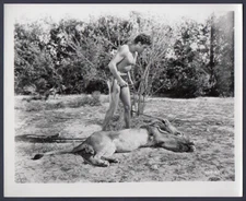 Buster Crabbe Tarzan type KING OF THE JUNGLE Reprint Photo BARECHESTED ACTOR