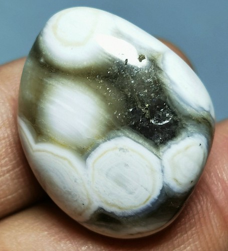 Collection ! Amazing Ocean Jasper Agate palm stone Jasper Reiki Stone - Picture 3 of 10