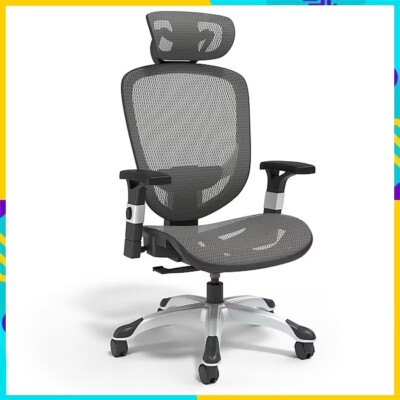 Dexley Staples Hyken Vs Aeron Staples Hyken Technical Mesh Hyken