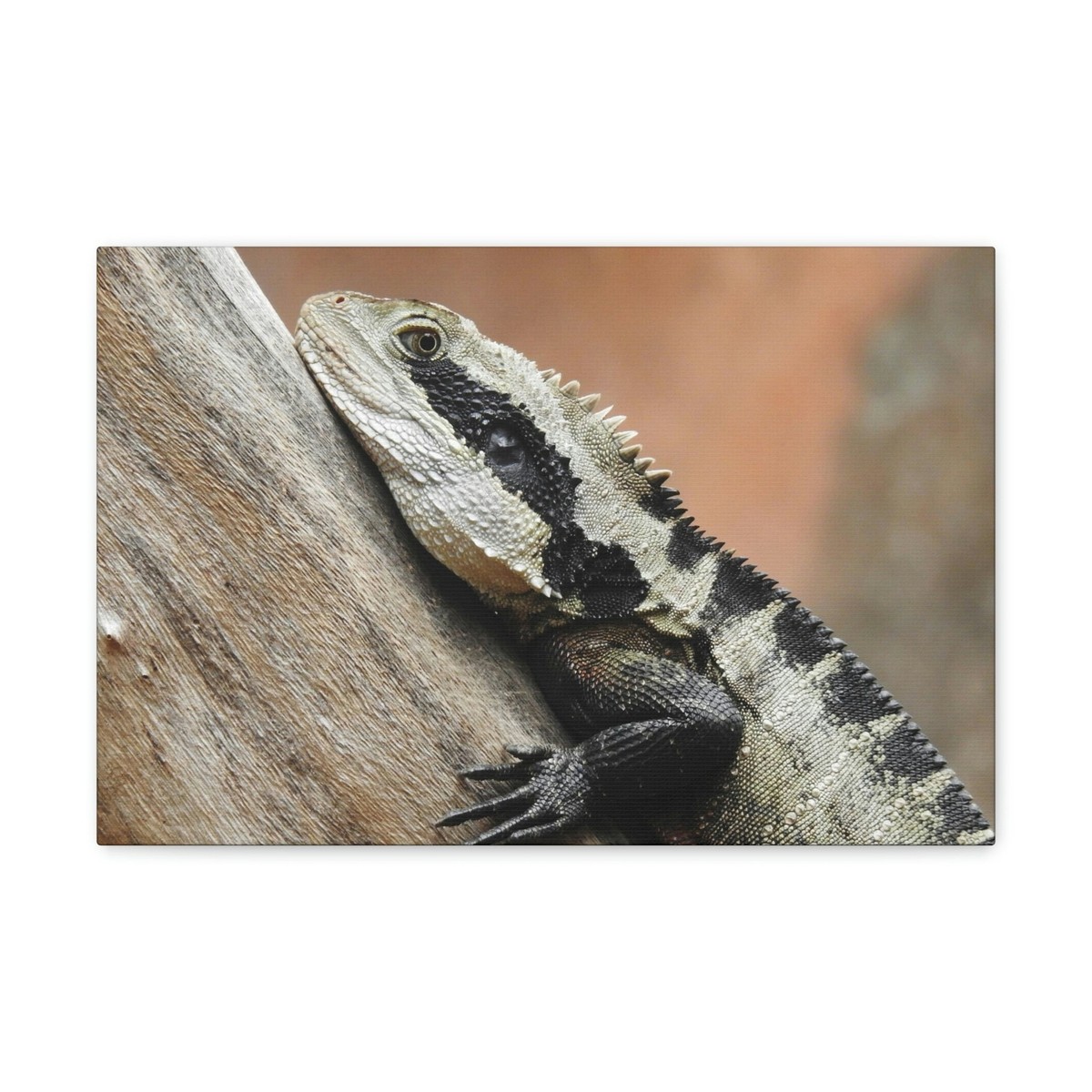 Funny Water Dragons Silly Water Dragons Scene Outside Wall Art Ready to  Hang Un