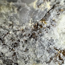 Large Rich Native Gold & Uytenbogaardtite: Bullfrog Mine, Nye Co., Nevada- Rare!