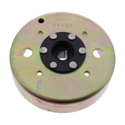 Lichtmaschine Schwungrad Rotor Polrad für Jonway YY50QT-6D 50 Agility 12-16