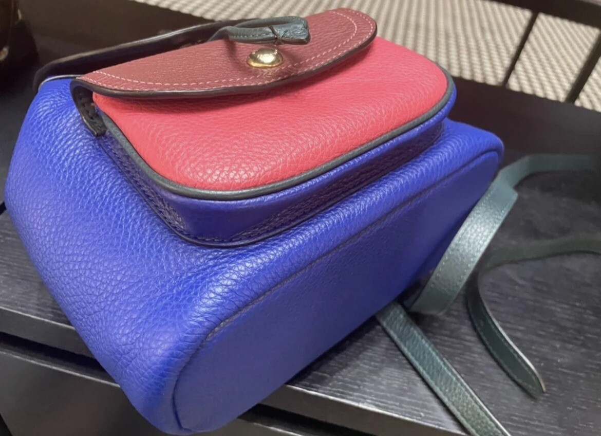 NWT Coach Pennie Backpack 22 In Colorblock-Sport Blue Multi  display picture 1