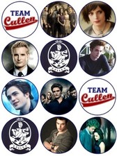 24 Team Edward Cullen Twilight Fairy Cake Toppers Edible Party Decorations