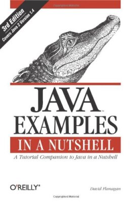 Java Examples in a Nutshell, 3rd Edition By David Flanagan