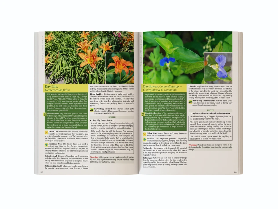 The Lost Book of Herbal Remedies II (paperback with color pictures) - Image 4 of 4