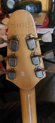 Gibson MARAUDER E-GITARRE