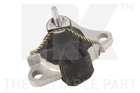NK Lagerung, Motor Vorderachse FüR Renault