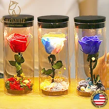 REAL Preserved Eternity Forever Rose Touch Lamp Birthday Valentine's Day Gift