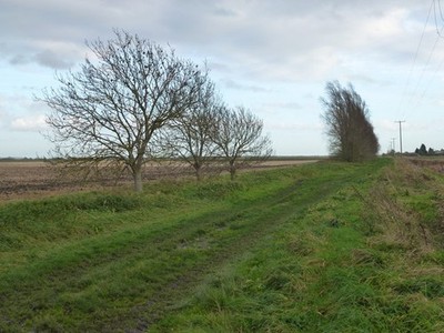 Photo A2 Back Reach Drove off Benwick Road Turves To the south of Angle  c2012