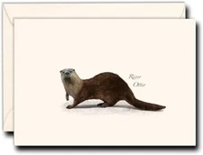 Earth Sky & Water River Otter Notecard Set 2 Pkgs of 8 Blank Cards w/ Envelopes