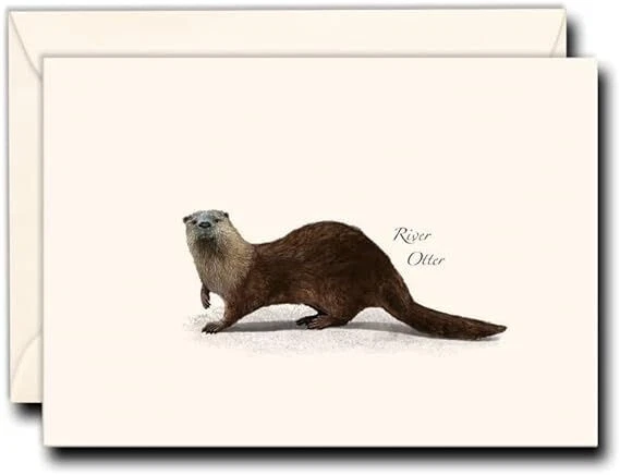 Earth Sky & Water River Otter Notecard Set 2 Pkgs of 8 Blank Cards w/ Envelopes