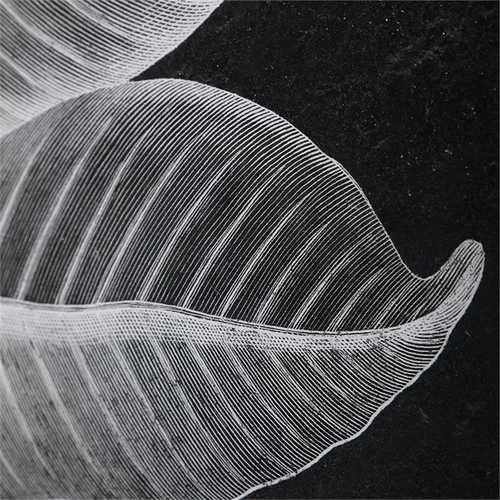 Uttermost Foliage Plastic Glass and Wood Framed Prints in Multi-Color (Set of 6) - Picture 6 of 9