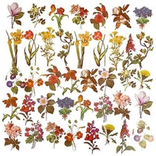 Vintage Flowers Plants Stickers -  40PCS Peel-Off DIY Flower Collection