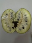 Annona Deceptrix — photo 8