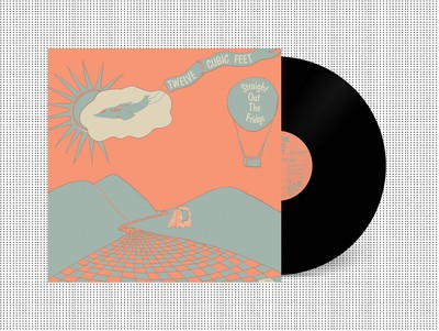 Twelve Cubic Feet Straight Out the Fridge (Vinyl) 12'' Album
