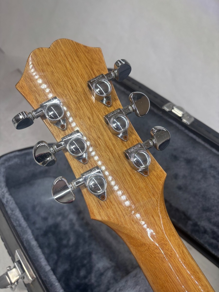 Epiphone Dot W/ Hard Case | eBay