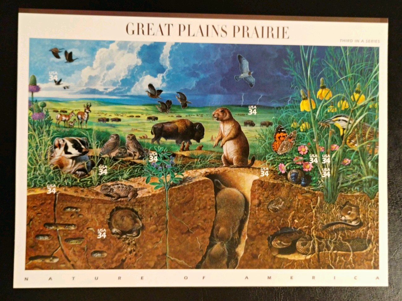 USPS Nature of America Great Plains Prairie 34¢ Stamp Sheet, MNH, $3.06 FV