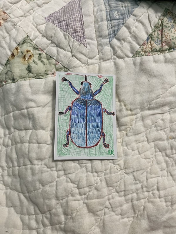 Original Aceo Art Blue Beetle Small Art Card Colored Pencil