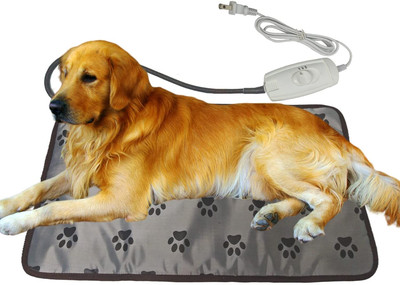 bleach solution for dog paws