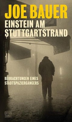 Einstein am Stuttgartstrand: Beobachtungen eines Stadtspaziergängers ( 1592411-2