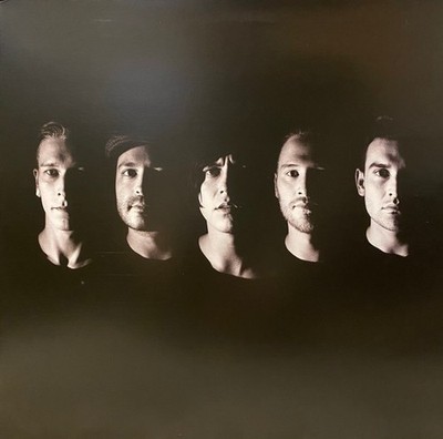 Sleeping With Sirens - Madness (Vinyl LP)
