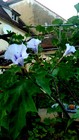 Bild 7 von 8
