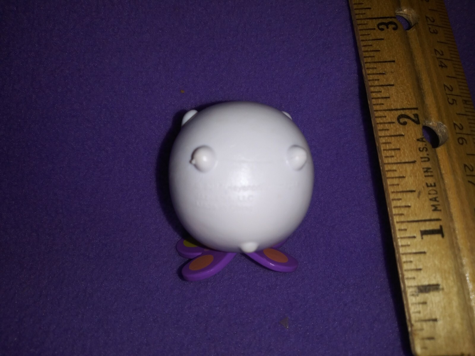 Picture 8 of 8