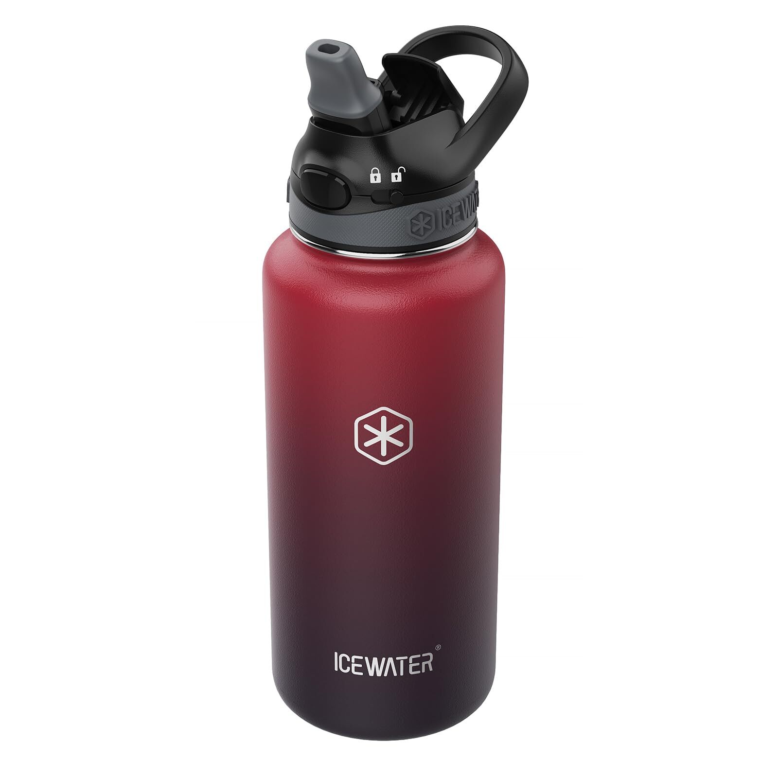 32 oz Insulated Leakproof Water Bottle with Straw and Carry Handle