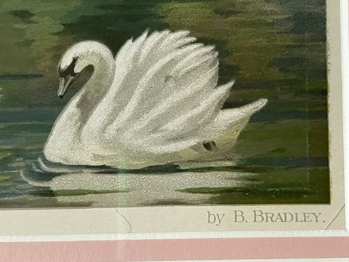 "Maytime on the Thames" Cow & Calf B. Bradley Royal Academy Antique Print - Picture 8 of 12