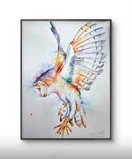 ORIGINAL Barn Owl watercolour painting signed Elle Smith Art, Fine Art, New