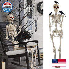 Dr.Dudu 5Ft Skeleton Life Size Halloween Decor 3 Pcs Crows Large Posable