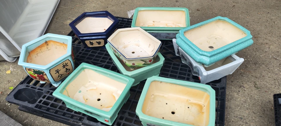 Ceramic Bonsai Pot | Decorative Painting | Drainage Hole (Various Options) - Image 4 of 4