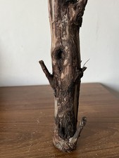 25cm DRIFTWOOD LOG BRANCH Craft Florist Display Air Plant reptile fairy wood