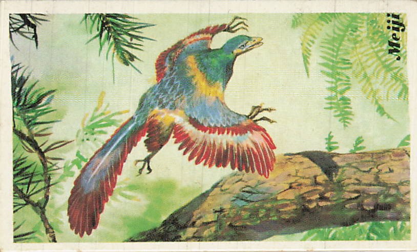 Picture 1