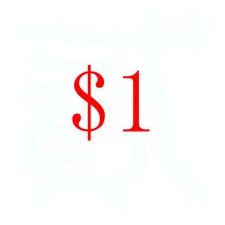 Extra Shipping Fee or Other Fees Pls Bid This one