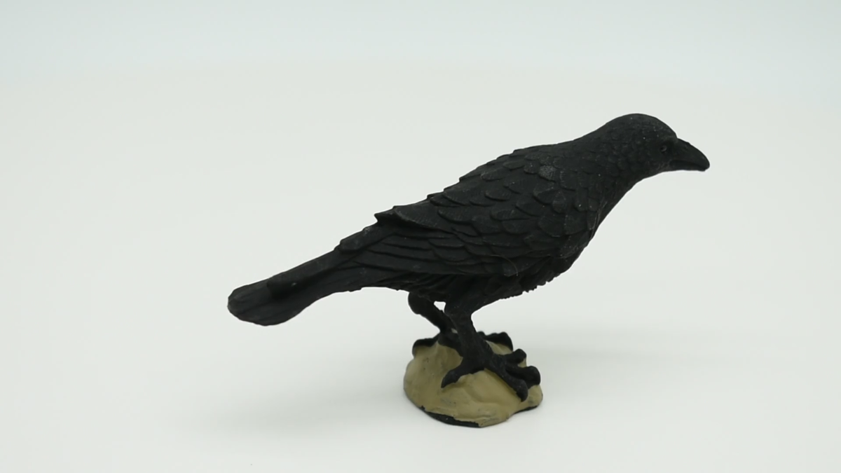 Raven, Crow Toy, Realistic Plastic Scale Model 3