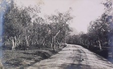 1911 Cartolina Vintage Lombardia MILANO Localita Sconosciuta Usata 19864