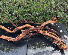 Aquarium Fish Tank Terrarium Aquascape Reptile Manzanita Branches 5 Pc 7lb