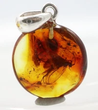 Amber Pendant With Insect, 925 | Baltic Amber with Fossil |Amber Inclusion