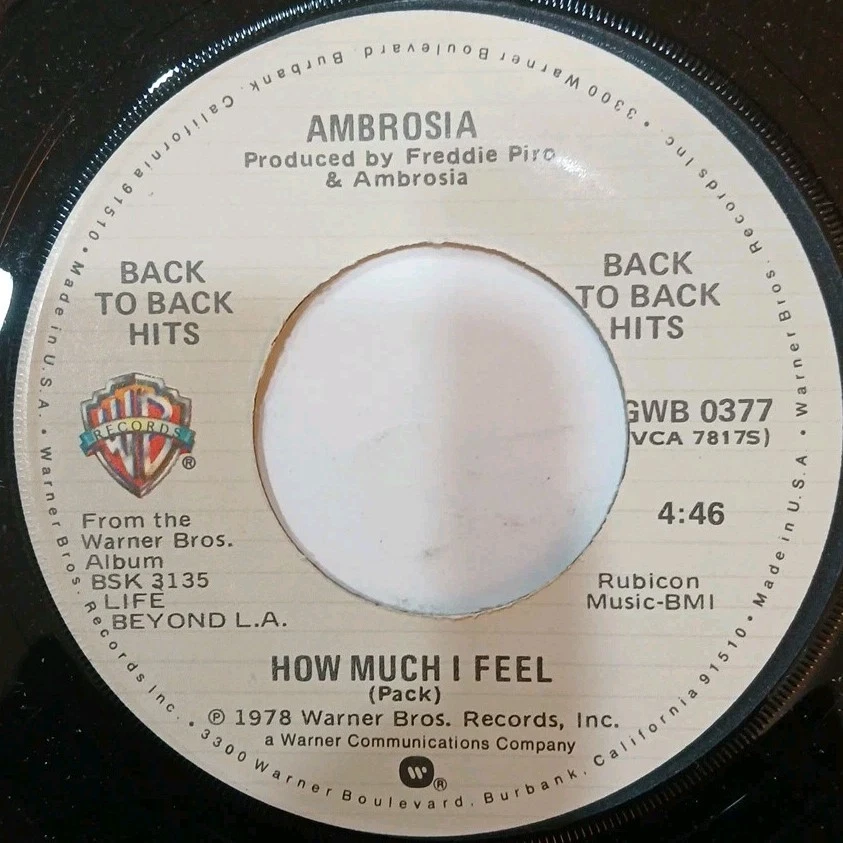 Ambrosia~How Much I Feel~Holdin' On To ..~1975~45rpm Vinyl Record~WHITE LABEL - Image 3 of 4